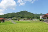 安芸 二ツ山城(黒瀬町)の写真