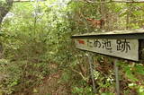 安芸 久志城の写真