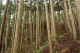 安芸 松田城の写真