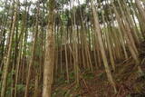安芸 松田城の写真