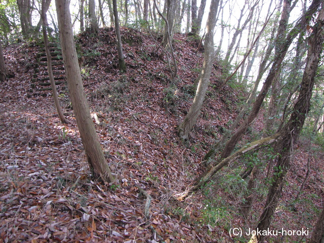 安芸 面山城の写真