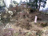 安芸 壬生城の写真