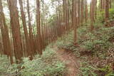 安芸 溝迫城の写真