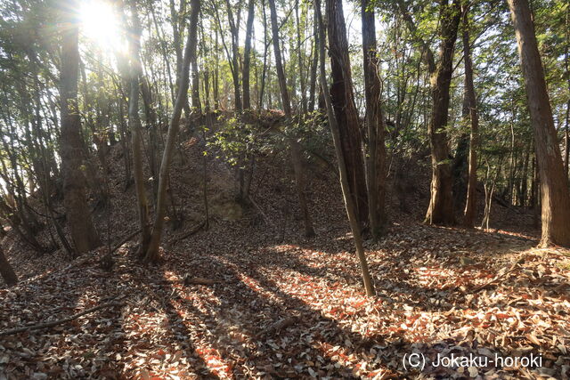 安芸 門田山城の写真