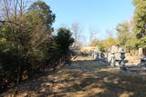 安芸 門田山城の写真