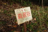 安芸 (仮)森政谷城の写真