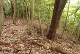 安芸 宗像八幡城の写真