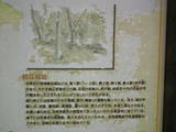 安芸 鍋谷城の写真