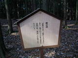 安芸 鍋谷城の写真