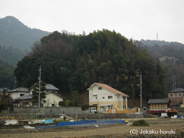 安芸 永町山城の写真