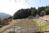 安芸 茶臼山城(向原町)の写真