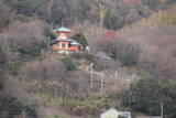 安芸 仁方堀城の写真