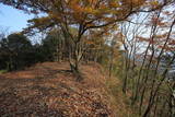 安芸 新高山城の写真