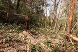 安芸 二城山城の写真