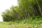 安芸 麓城(能美町)の写真
