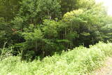 安芸 北堀城の写真
