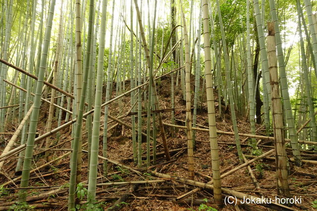 安芸 小城(能美町)の写真
