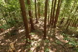 安芸 如意庵山城の写真