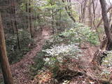 安芸 生城山城の写真