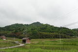 安芸 高城(大和町)の写真