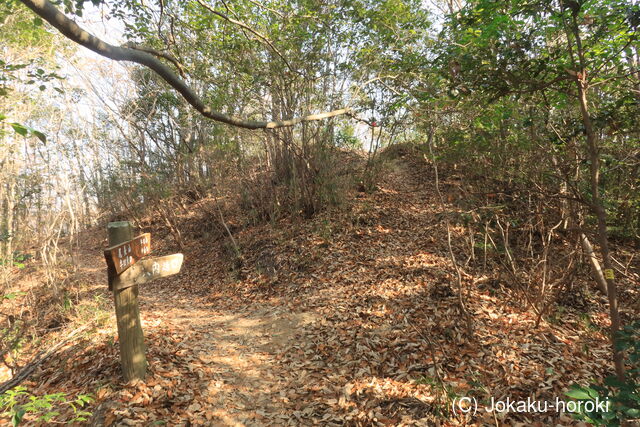 安芸 (仮)尾長北峰城の写真
