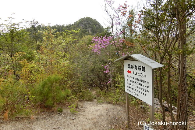 安芸 鬼が丸城の写真