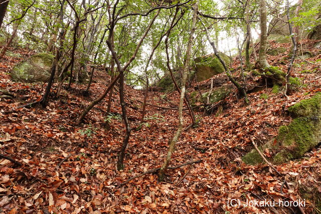 安芸 狼倉山城の写真