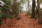 安芸 狼倉山城の写真