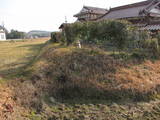 安芸 尾和屋敷の写真