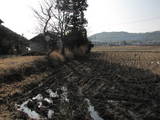 安芸 尾崎土居屋敷の写真