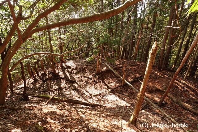 安芸 (仮)録泉寺城の写真