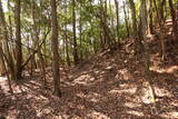 安芸 (仮)録泉寺城の写真