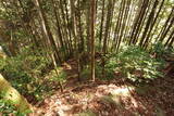 安芸 坂根城の写真