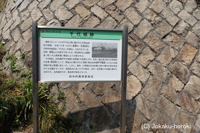 安芸 千代城の写真
