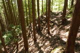 安芸 志道城の写真