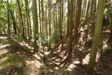 安芸 志道城の写真