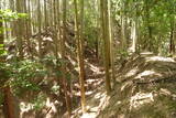 安芸 志道城の写真