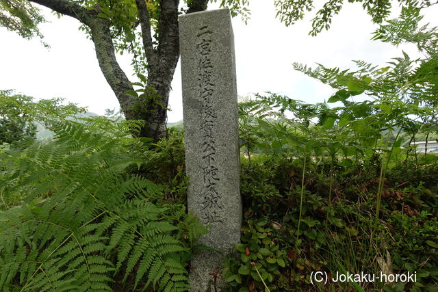 安芸 下陀才城の写真