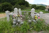 安芸 下陀才城の写真
