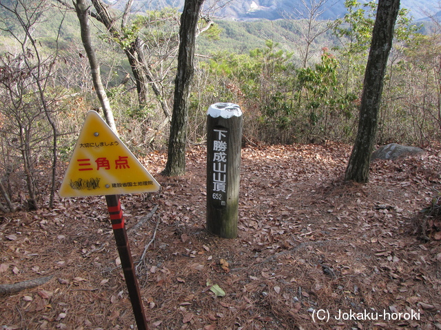 安芸 下勝成山城の写真