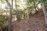 安芸 新城城の写真
