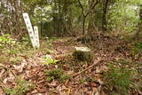 安芸 新開(西)城の写真