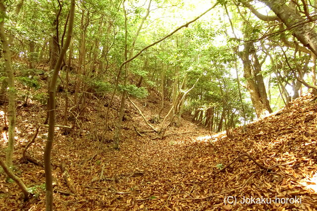 安芸 (仮)白木山天主の段の写真