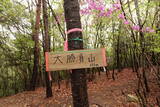 安芸 田原城1の写真