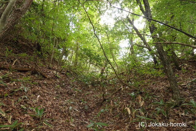 安芸 高城山城(筒賀村)の写真