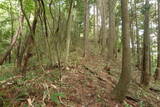 安芸 高城山城(筒賀村)の写真
