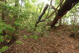 安芸 高城山城(筒賀村)の写真