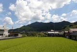 安芸 高城山城(筒賀村)の写真