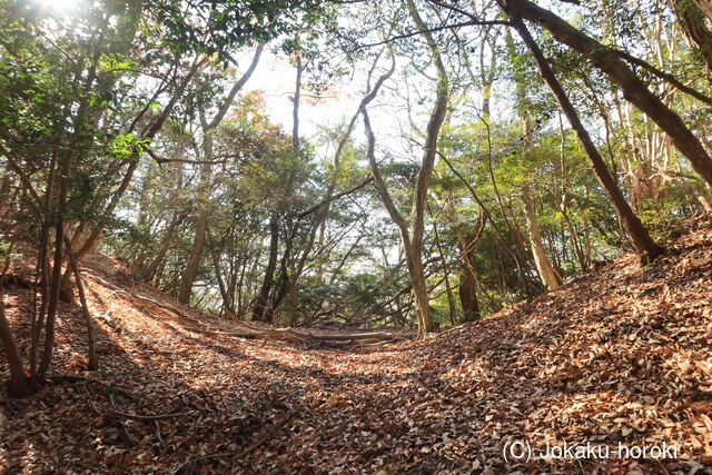 安芸 (仮)高城山城の写真