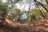 安芸 (仮)高城山城の写真